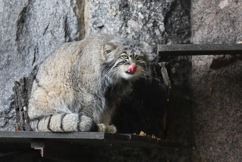 A photograph of Timofey in Moscow zoo