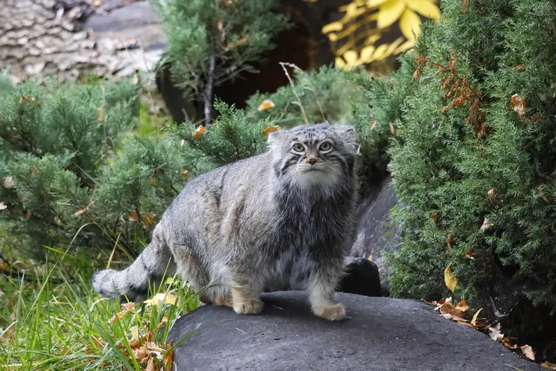 A photograph of Timofey in Moscow zoo