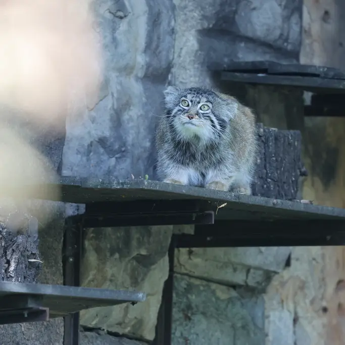A photograph of Timofey in Moscow zoo