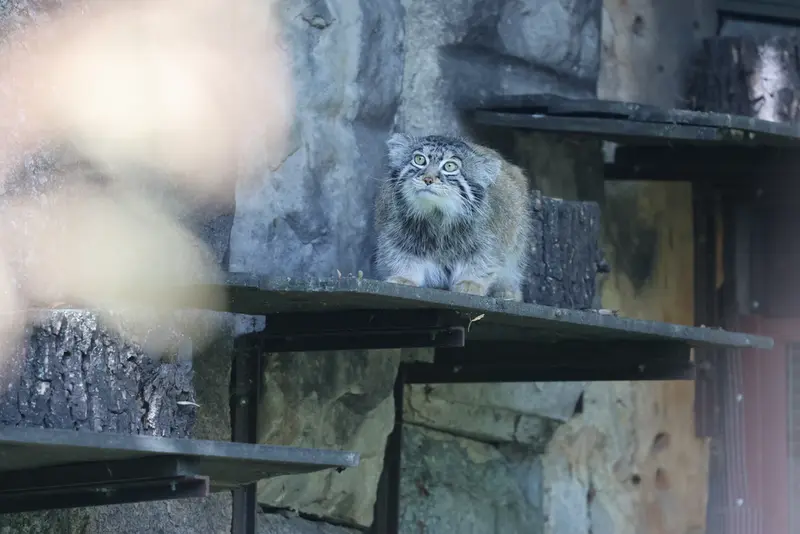 A photograph of Timofey in Moscow zoo