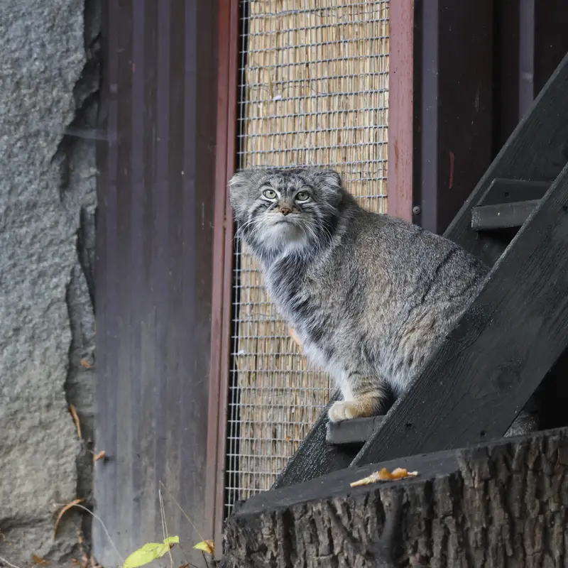 A photograph of Timofey in Moscow zoo