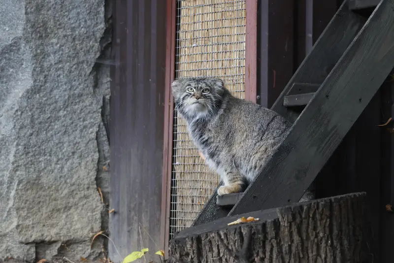 A photograph of Timofey in Moscow zoo