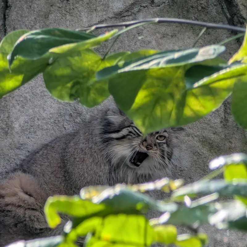 A photograph of Tiina in Columbus Zoo and Aquarium