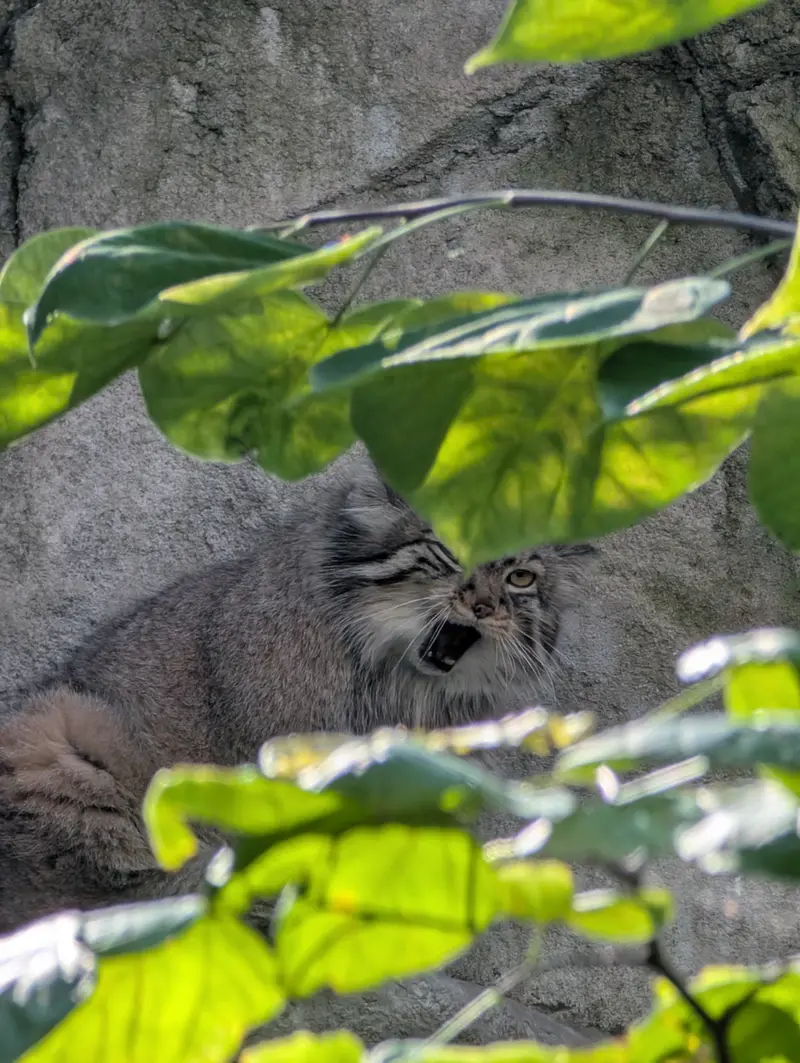 A photograph of Tiina in Columbus Zoo and Aquarium