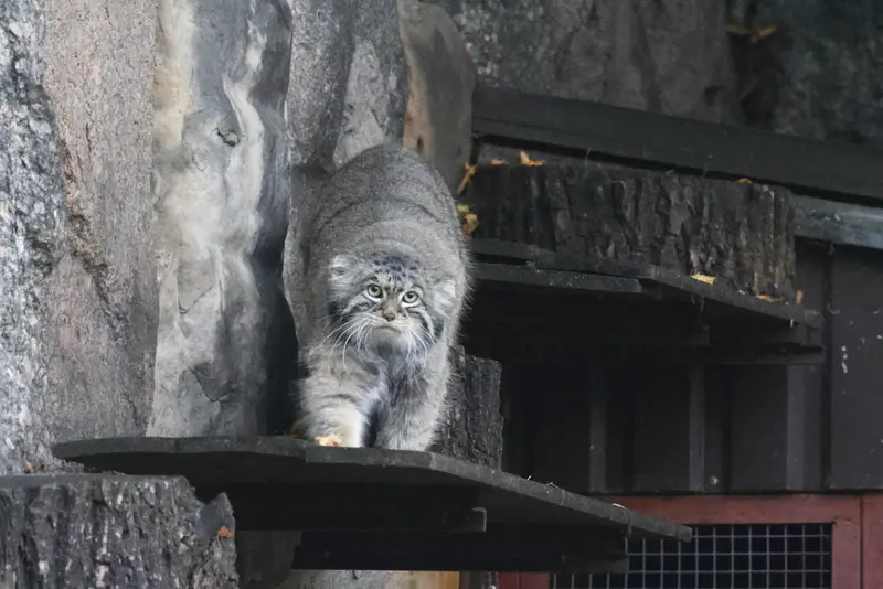 A photograph of Timofey in Moscow zoo