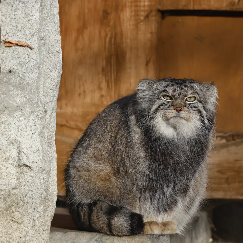 A photograph of Timofey in Moscow zoo