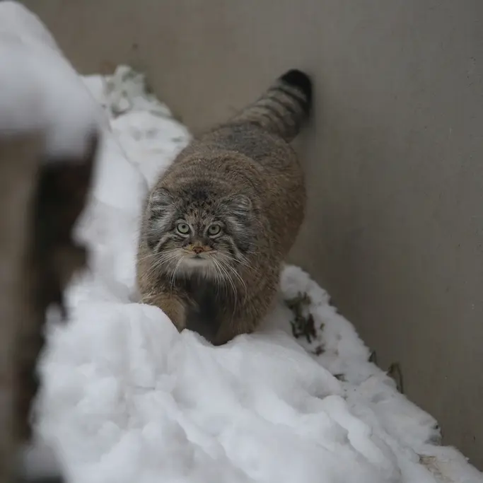 A photograph of Ula in Gdansk Zoo