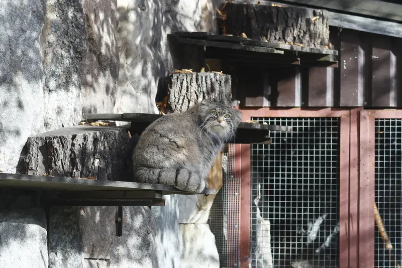 A photograph of Timofey in Moscow zoo