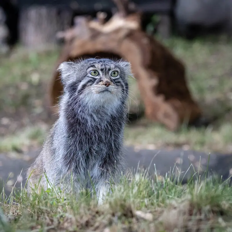 A photograph of Timofey in Moscow zoo