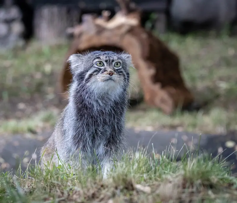 A photograph of Timofey in Moscow zoo