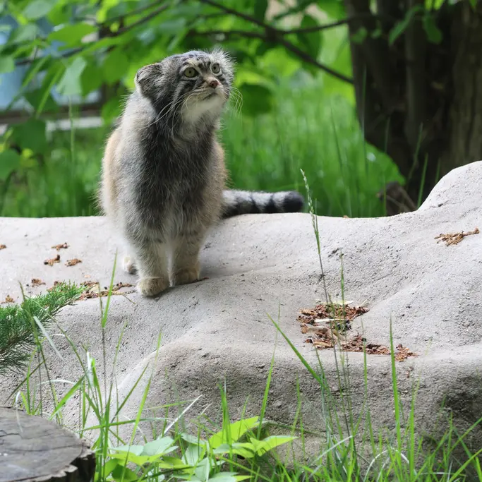 A photograph of Timofey in Moscow zoo