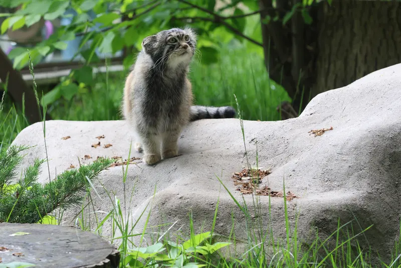 A photograph of Timofey in Moscow zoo