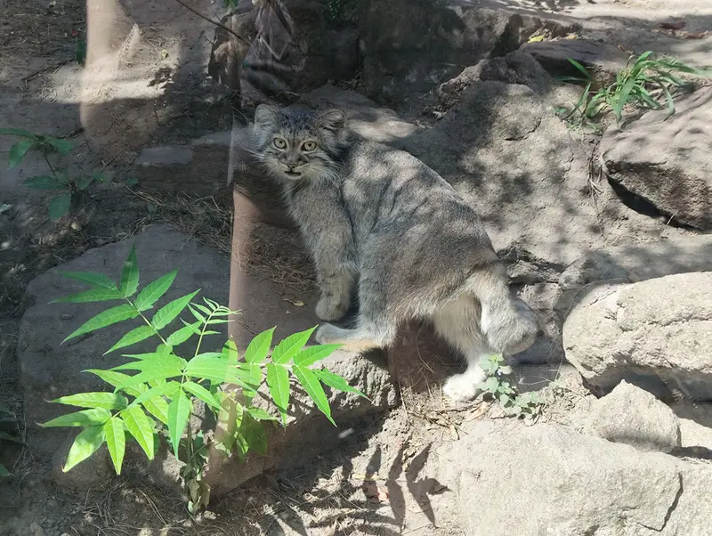 A photograph of Lucy in Budapest Zoo & Botanical Garden