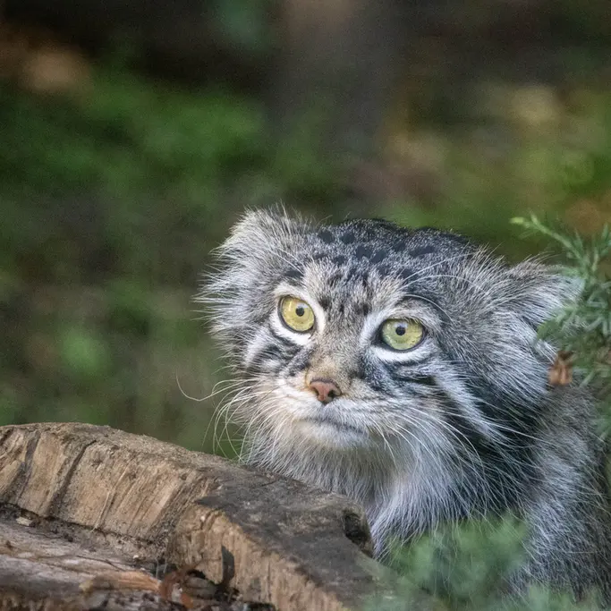 A photograph of Timofey in Moscow zoo