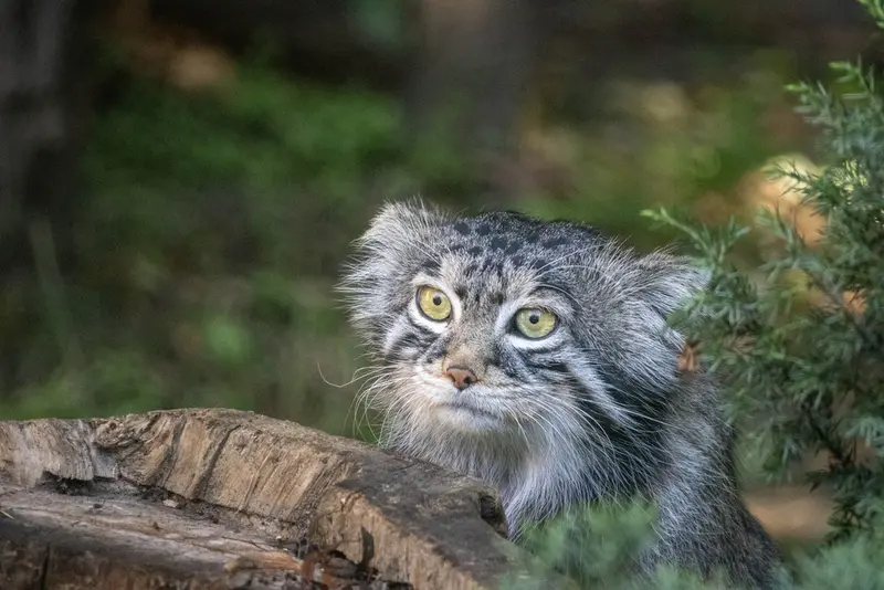 A photograph of Timofey in Moscow zoo