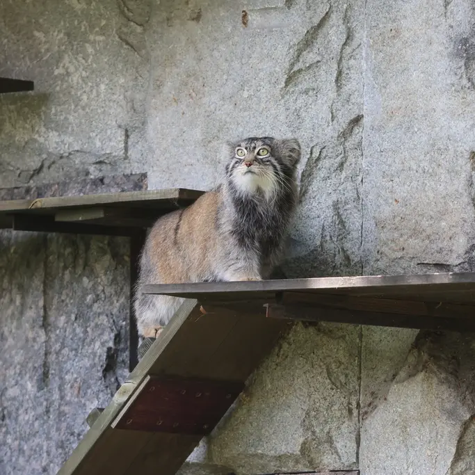 A photograph of Timofey in Moscow zoo