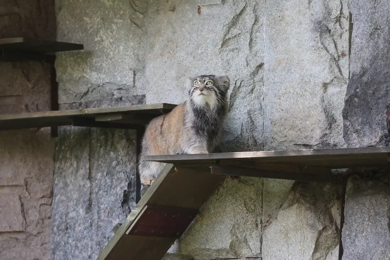 A photograph of Timofey in Moscow zoo