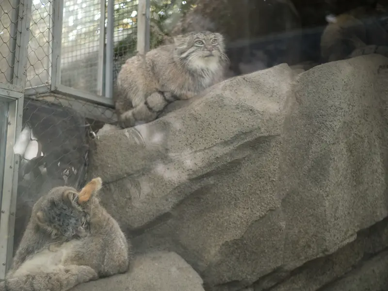 A photograph of Az and Mei in Kobe Animal Kingdom