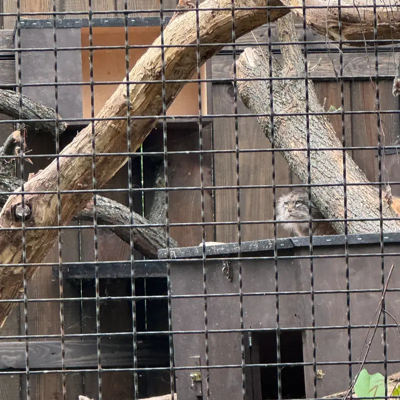A photograph of Jessie in Warsaw Zoo