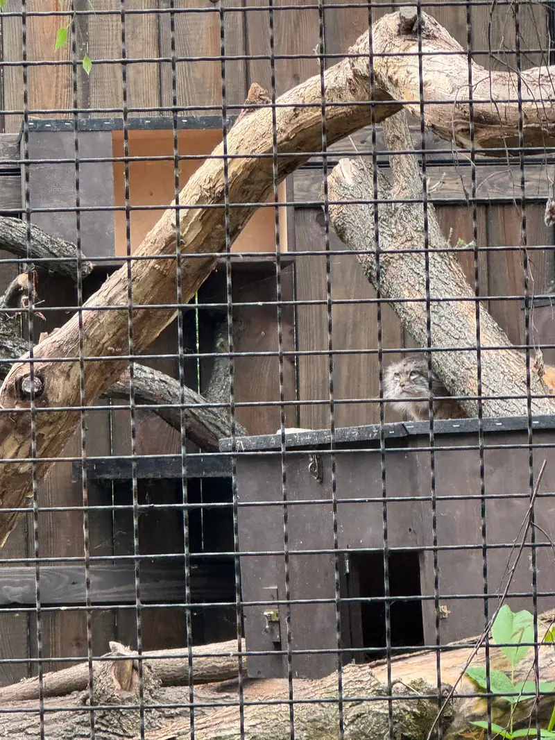 A photograph of Jessie in Warsaw Zoo