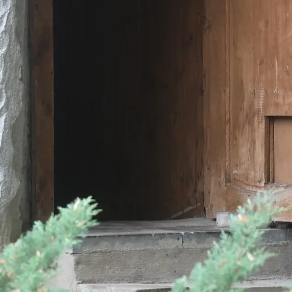 A photograph of a Pallas's cat in Moscow zoo