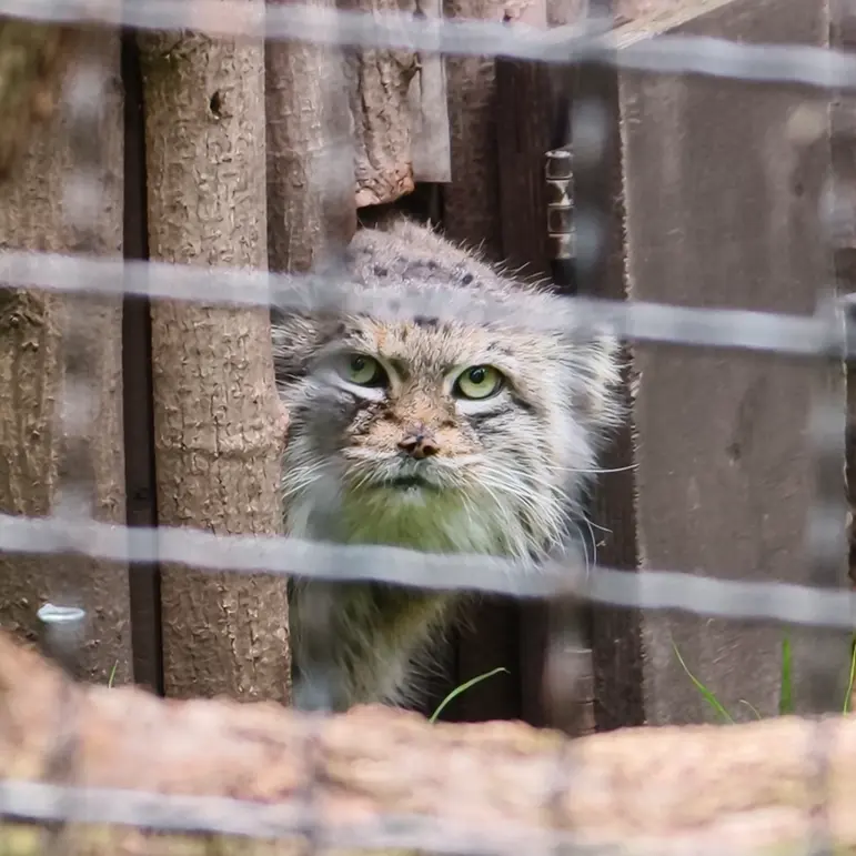A photograph of Jessie in Warsaw Zoo