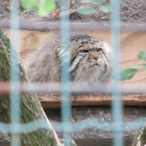 A photograph of Jonathan in Magdeburg Zoo
