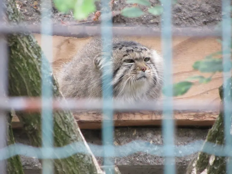 A photograph of Jonathan in Magdeburg Zoo