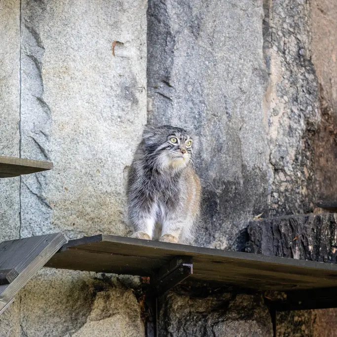 A photograph of Timofey in Moscow zoo