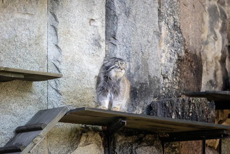A photograph of Timofey in Moscow zoo