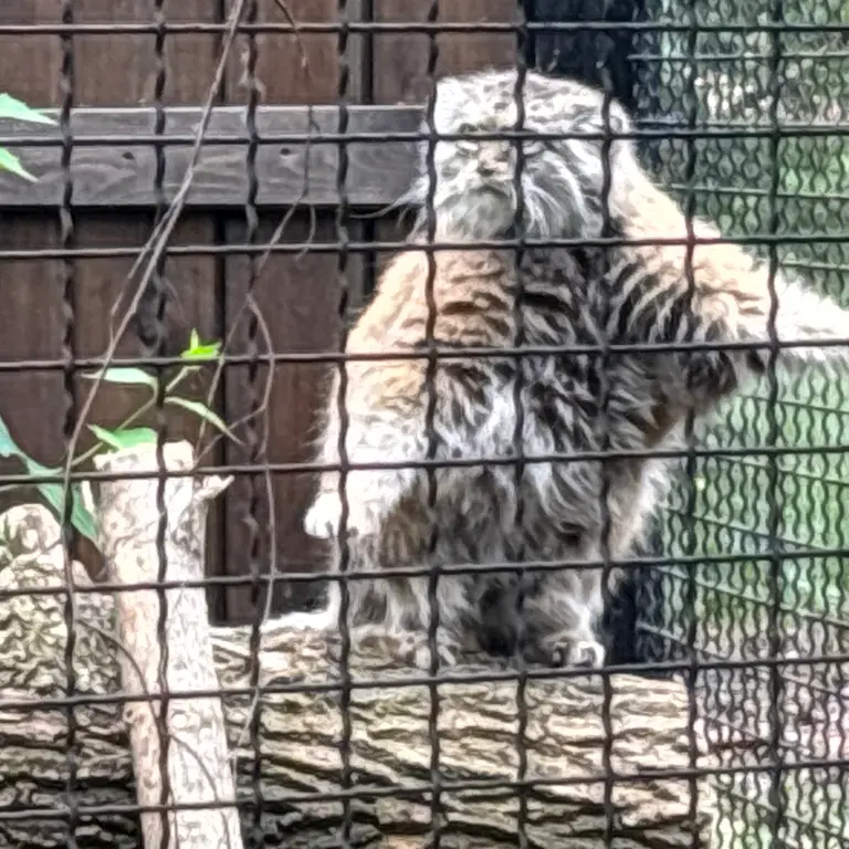 A photograph of Jessie in Warsaw Zoo