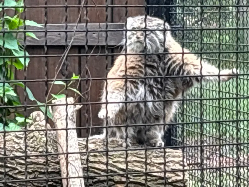 A photograph of Jessie in Warsaw Zoo