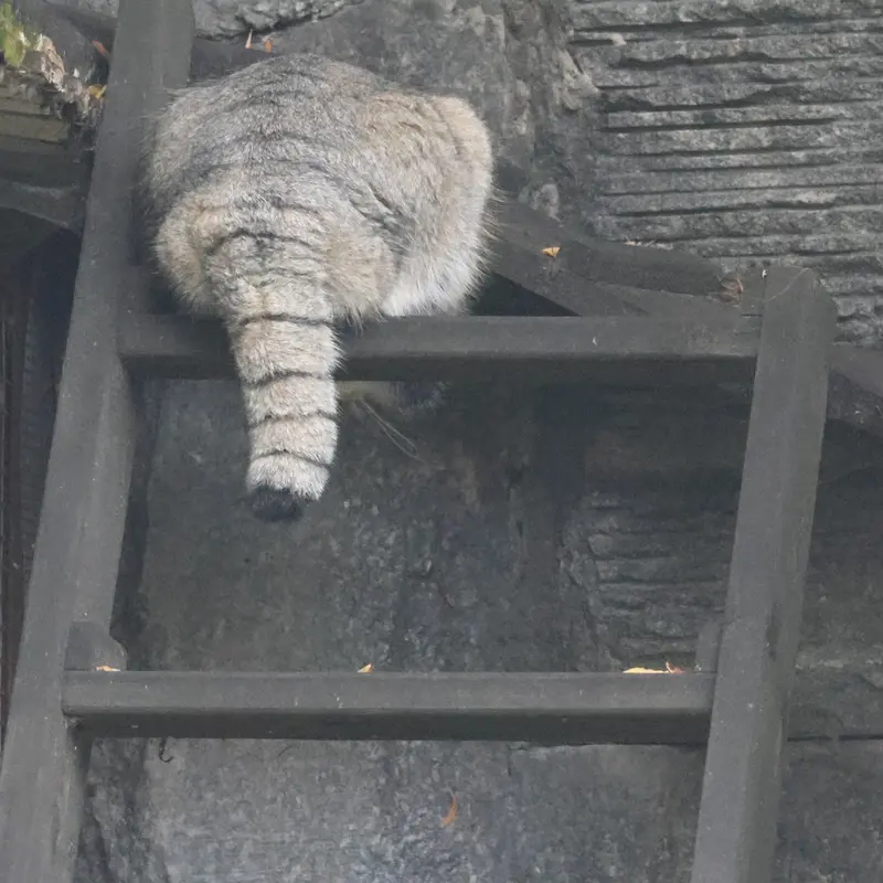 A photograph of Timofey in Moscow zoo