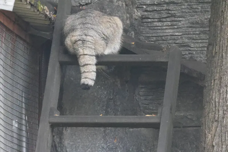 A photograph of Timofey in Moscow zoo