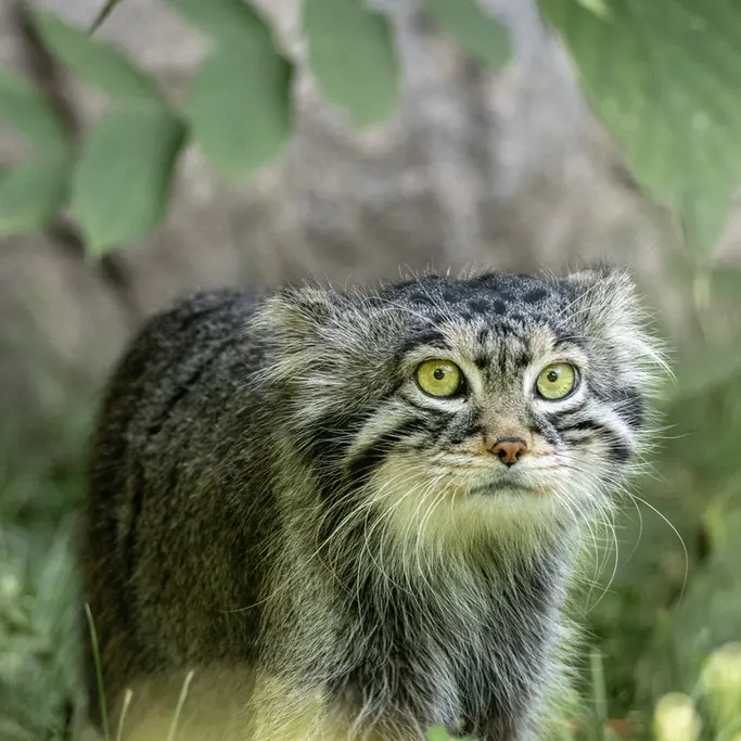 A photograph of Timofey in Moscow zoo
