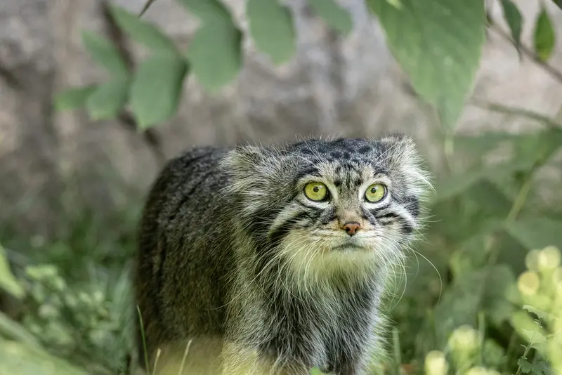 A photograph of Timofey in Moscow zoo