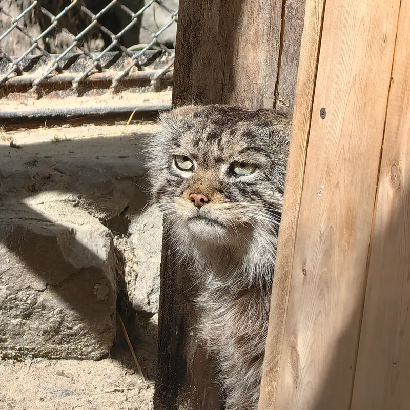 A photograph of George in Novosibirsk Zoo