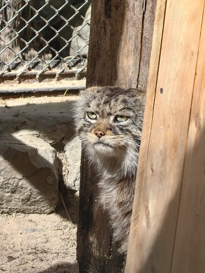 A photograph of George in Novosibirsk Zoo