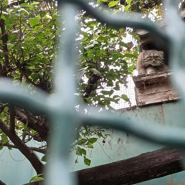 A photograph of Bohus in Budapest Zoo &amp; Botanical Garden