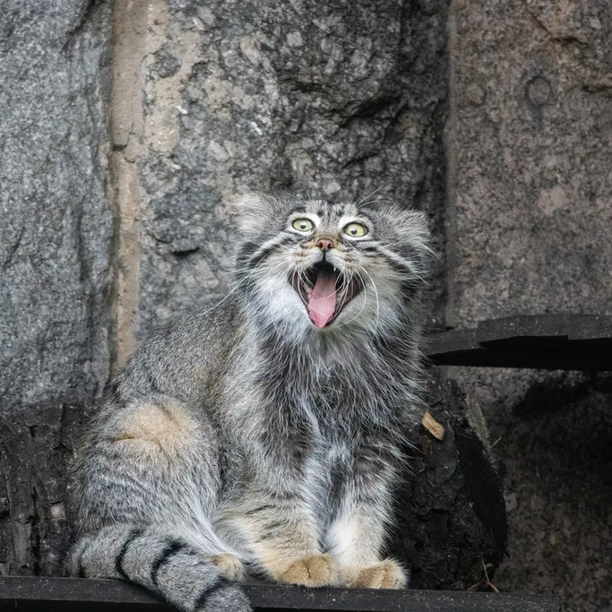 A photograph of Timofey in Moscow zoo
