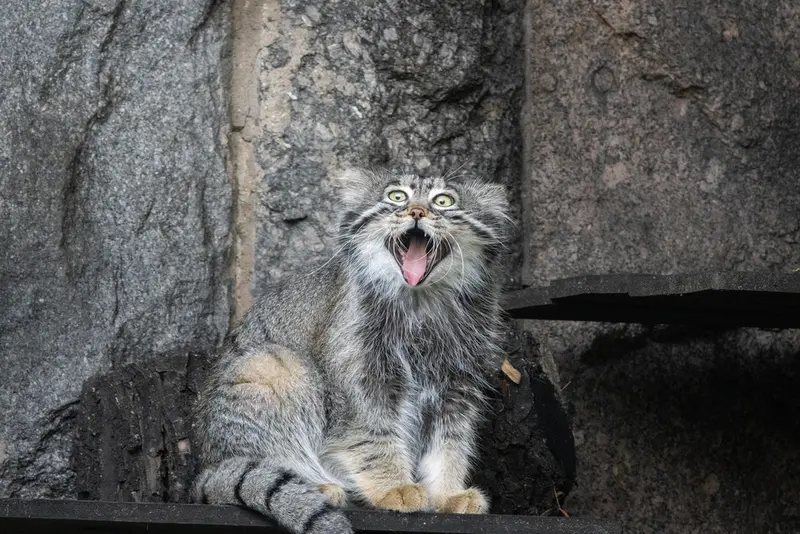 A photograph of Timofey in Moscow zoo