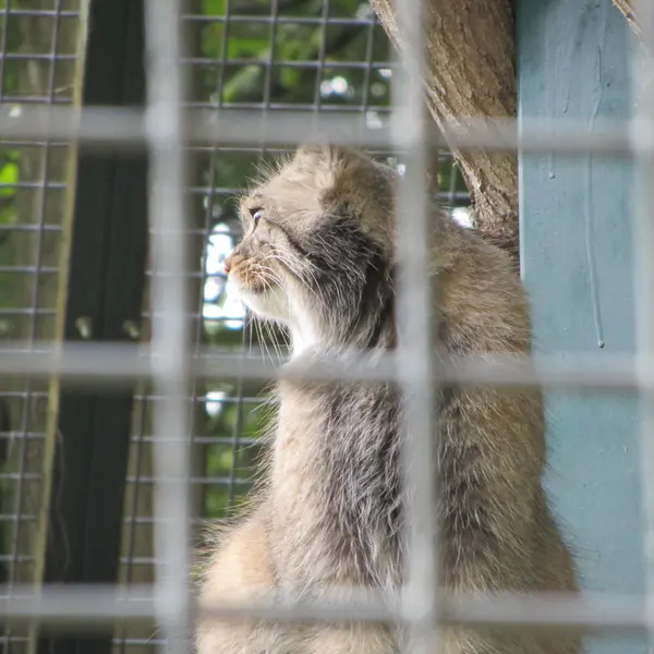 A photograph of Karl-Heinz in Saarbrücken Zoo