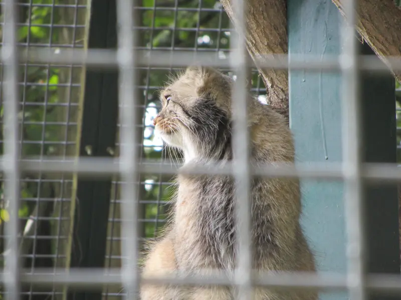 A photograph of Karl-Heinz in Saarbrücken Zoo