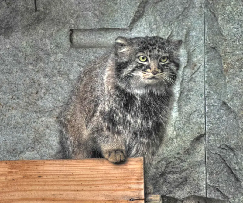 A photograph of Darlay in Moscow zoo