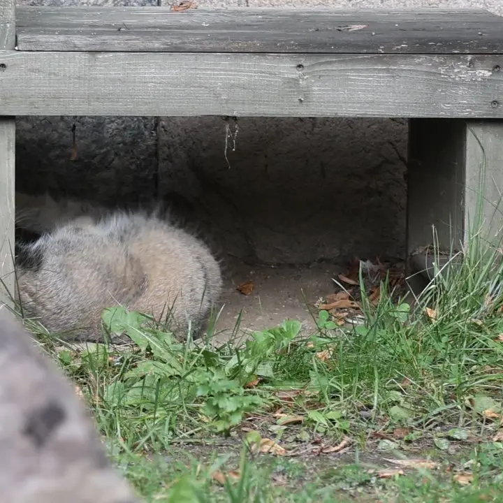 A photograph of Timofey in Moscow zoo