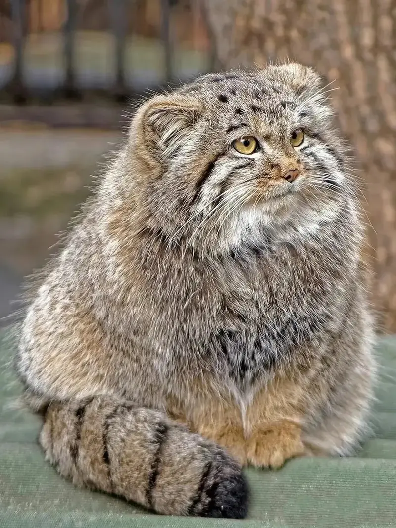 What’s his/her name?thank you!