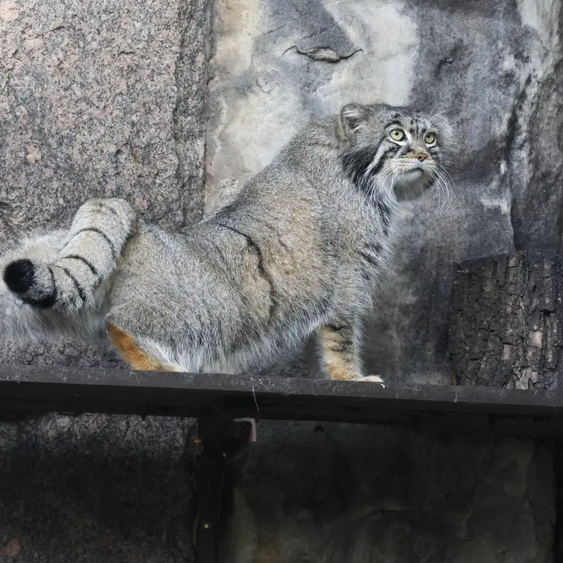 A photograph of Timofey in Moscow zoo