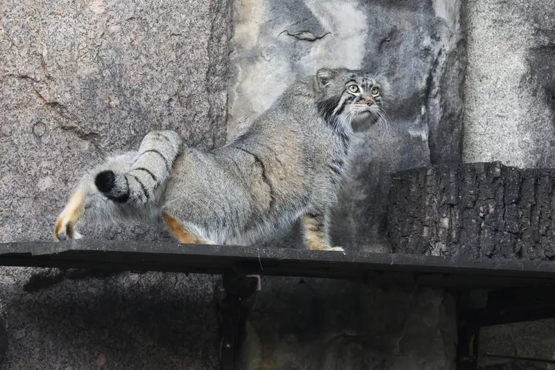 A photograph of Timofey in Moscow zoo