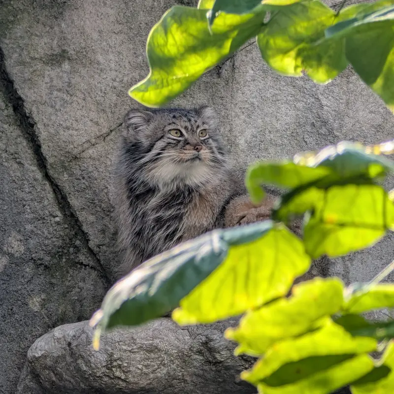 A photograph of Tiina in Columbus Zoo and Aquarium
