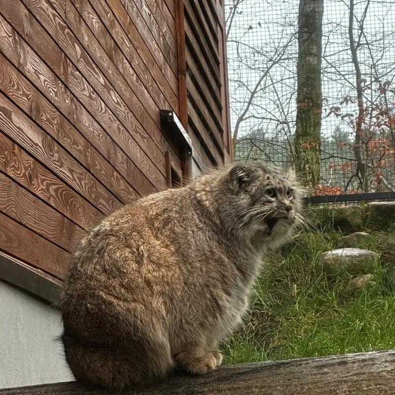 A photograph of Manuel in Gdansk Zoo